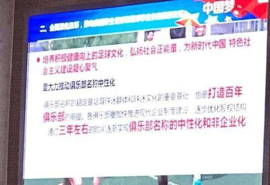 之所以注册这一名称是因为苏宁集团目前同时是意甲豪门国际米兰的大股东