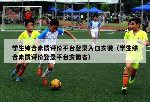 学生综合素质评价平台登录入口安徽（学生综合素质评价登录平台安徽省）