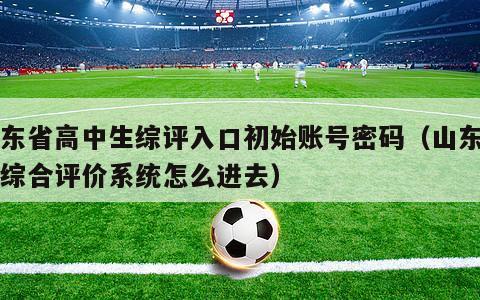 山东省高中生综评入口初始账号密码（山东高中综合评价系统怎么进去）