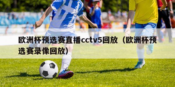 欧洲杯预选赛直播cctv5回放（欧洲杯预选赛录像回放）