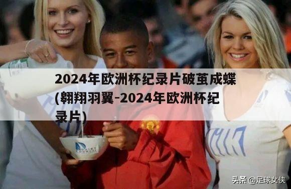 2024年欧洲杯纪录片破茧成蝶(翱翔羽翼-2024年欧洲杯纪录片)