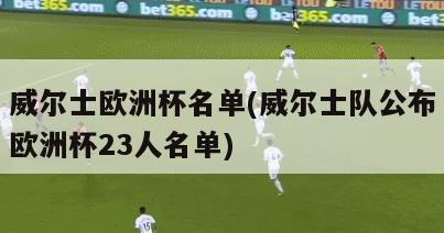 威尔士欧洲杯名单(威尔士队公布欧洲杯23人名单)