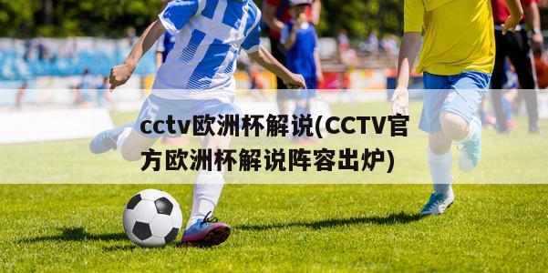 cctv欧洲杯解说(CCTV官方欧洲杯解说阵容出炉)