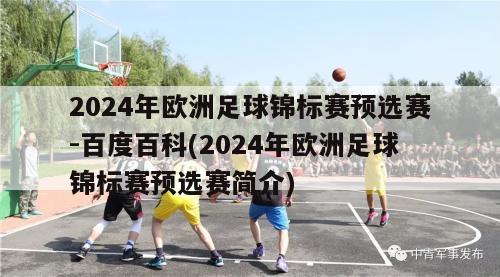 2024年欧洲足球锦标赛预选赛-百度百科(2024年欧洲足球锦标赛预选赛简介)