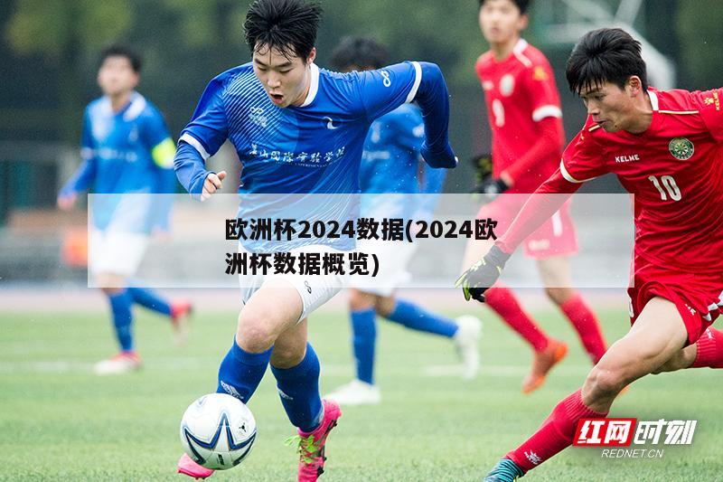 欧洲杯2024数据(2024欧洲杯数据概览)