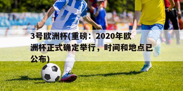 3号欧洲杯(重磅：2020年欧洲杯正式确定举行，时间和地点已公布)