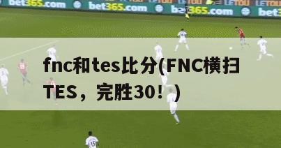 fnc和tes比分(FNC横扫TES，完胜30！)