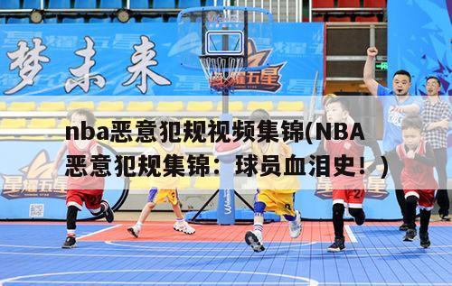 nba恶意犯规视频集锦(NBA恶意犯规集锦：球员血泪史！)